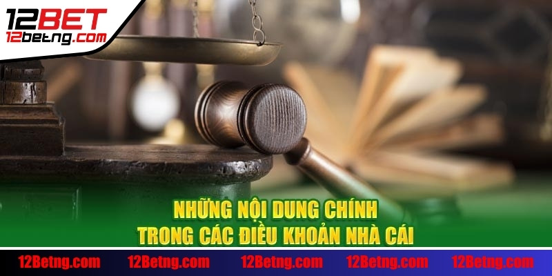 Nội dung về Điều khoản điều kiện