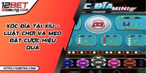Xóc đĩa tài xỉu – Luật chơi và mẹo đặt cược hiệu quả