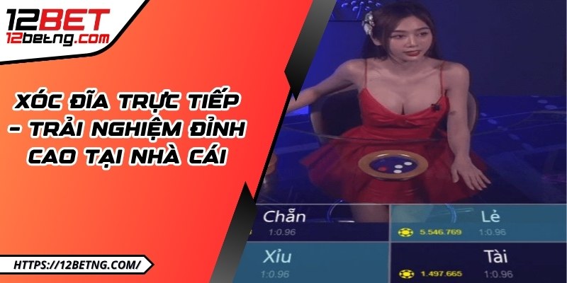 Xóc đĩa trực tiếp – Trải nghiệm đỉnh cao tại nhà cái